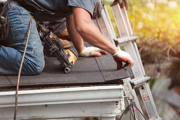 Best Roof Waterproofing Services  in Monona, IA